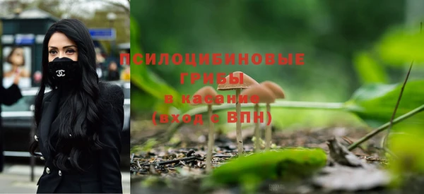 ПСИЛОЦИБИНОВЫЕ ГРИБЫ Волоколамск